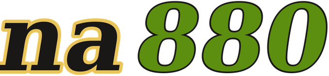 na880 logo